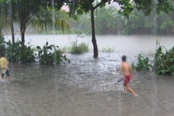 Tanggul Sungai Jebol, Sawah 5 Hektare di Pati Terendam Banjir