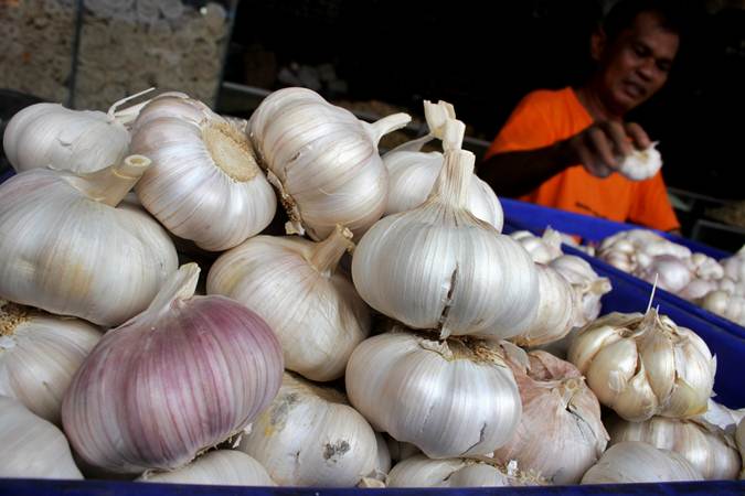 Jateng Masih Punya 4 Kontainer Stok Bawang Putih