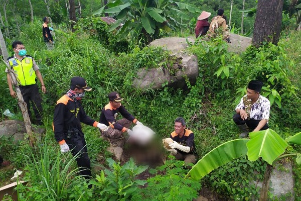 Cari Bonsai di Hutan Pinus Pemalang, 2 Warga Temukan Mayat