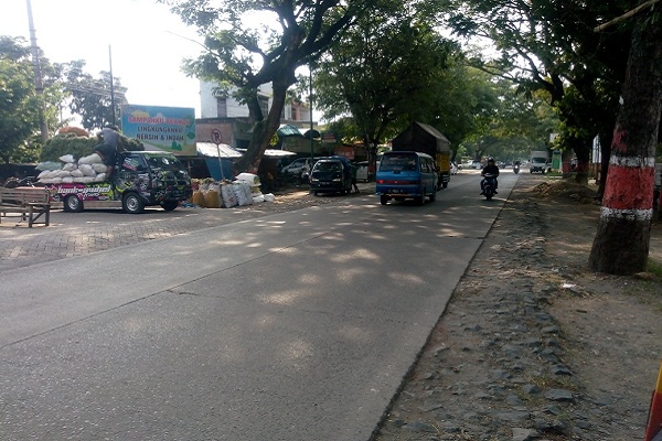 120 Pohon Ditebang Gegara Jalan di Purwodadi Dilebarkan