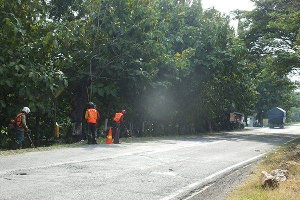 Pemasangan Tiang Pancang Atasi Jalan Bergelombang di Godong Grobogan