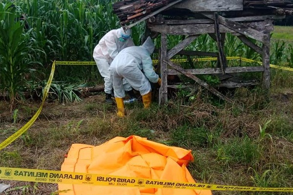 Evakuasi Jenazah Mandor Perhutani di Grobogan, Petugas Pakai APD Lengkap