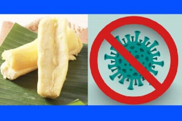 Yakin Tape Singkong Obat Corona, Pria Pekalongan Telepon Ganjar