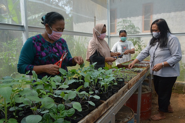 KWT Salatiga Ajak Tanam Sayur Mandiri Tekan Dampak Covid-19