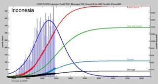 Prediksi penurunan kasus Covid-19 di Indonesia. (Semarangpos.com-UKSW)