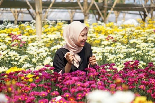 Begini Cara Foto Bak Princess di Setiya Aji Flower Farm