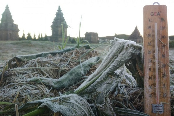 Fenomena Embun Upas Berulang di Dieng