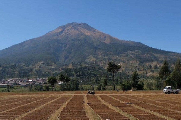 Wonosobo Tutup Total Jalur Pendakian Cegah Covid-19