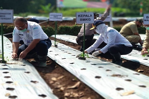 Hindari Puso, BMKG Minta Petani Siasati Perubahan Iklim