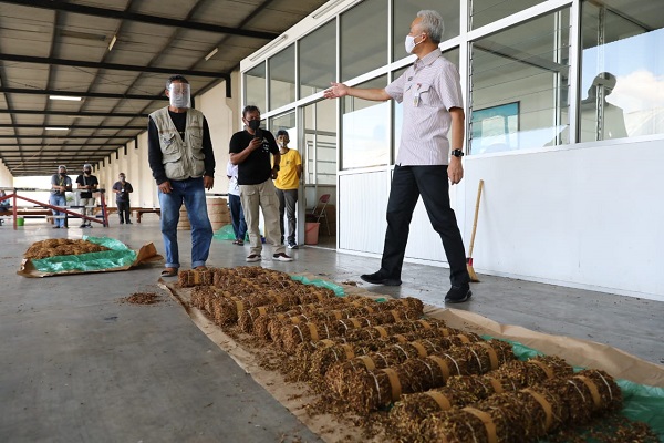 Gubernur Jateng Pastikan Tembakau Petani Temanggung Terbeli