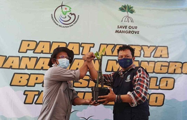 BPDASHL Solo Gelar Padat Karya Penanaman Mangrove