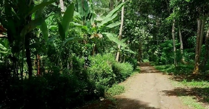 Aneh! Cuma Ada 7 Rumah di Dusun Sibimo Batang, Kalau Lebih Ini Bakal Terjadi…