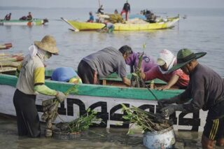 Warga terlibat dalam penanaman ratusan ribu mangrove melalui kegiatan padat karya di pesisir pantai Randuboto, Kecamatan Sidayu, Kabupaten Gresik, Rabu (28/10/2020). (Istimewa)