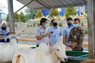 Penandatangan Nota Kesepahaman Kerja sama Pendampingan Penguatan Tata Kelola Perusahaan yang Baik oleh PT Semen Gresik dan Badan Pengawasan Keuangan dan Pembangunan (BPKP) Perwakilan Provinsi Jawa Tengah, Rabu (18/11/2020).(Istimewa)