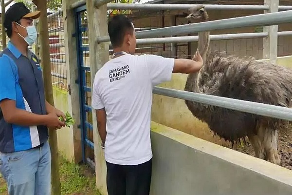 Wow, Temanggung Punya Kebun Binatang Mini, Ini Koleksinya