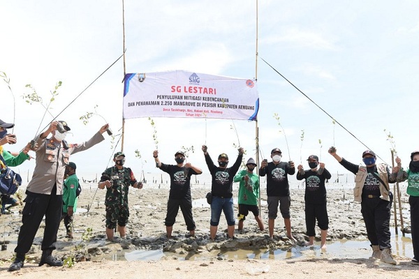 Menanam Mangrove