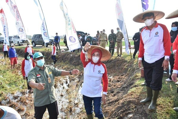 Ikut Gropyokan Bupati Grobogan Pegang Tikus Tangkapan