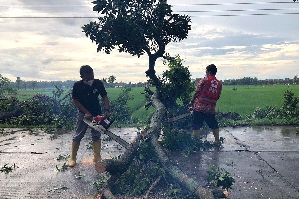 Hujan Angin di Grobogan, Akibatkan Pohon Tumbang Timpa Rumah