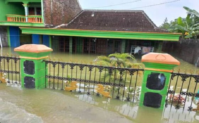 Banjir Brati Grobogan, 150 Rumah dan 200 Hektare Sawah Terendam