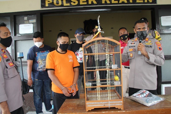 Curi Burung Kenari, Warga Klaten Kembali Dipenjara