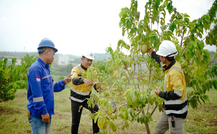 pt semen gresik pemberdayaan petani