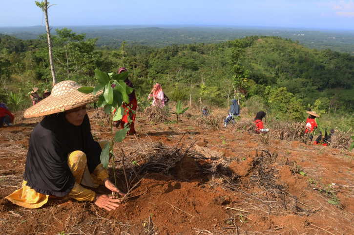 Telkom Bantu Pemulihan 82,1 Hektare Lahan Kritis melalui Reboisasi 33.800 Bibit Pohon