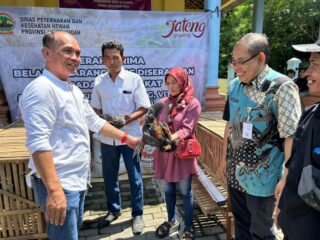 sumanto bantuan ayam